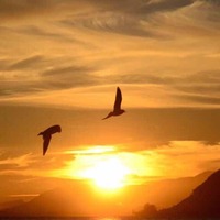 D4ec84925961f7843a7c6f7f850eaa6ad5a4e92a