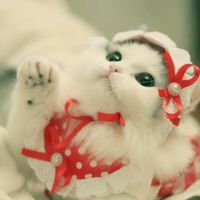 C5700c8aabe688d15748c157626a6117c33f4ae6