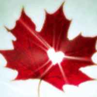 A766c10ea8c7c74ff7e5e929b3cc988527100cda