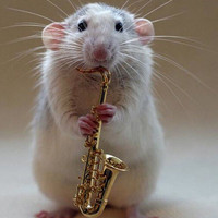 0772ab65e66af4dfc8161f7b864c7f5dc11e2c84