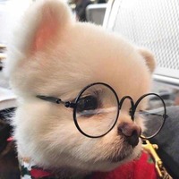 90c758c2ef0aadcabe0b3815f5531fd996ff5d14