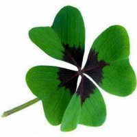 A1e73baaa65ce8180f33857ae10fc9620326d2c8