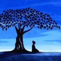 Beb8e18456a733c8334125be095206aba1b01429