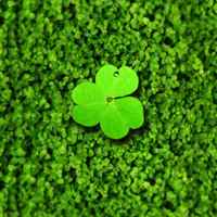 9e4b65db4d68044d9446262aeed92e767a465379