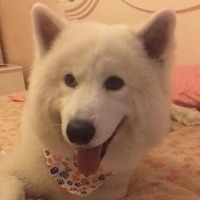 Fb2572a758a2246d933d0a25ce37b1a1e0741558