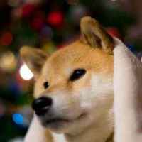 7180e66cc95bae41a4bceb374f0c1dc1079d57a9