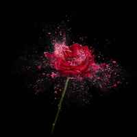 C395774be9b8221f890da0ac1c492d8ff8313254