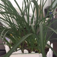 06c370dcba9bc430fcd11072a68b8e7913e168c9