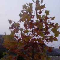 73bdd101ee588152ce2570e98e959857d7776a62