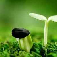 B2ebe637cfb244ea6a092c36e023d010646356c5