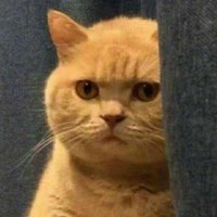 2fbc906207cd0a75e97ce7d5a75cdc340412b7ff