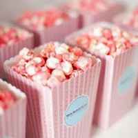 C887cfe88257e15340513ce037ea0d29340b6f2f