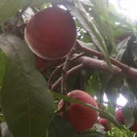 Fb657a3450568adc1013651f08be8826d2950fb3