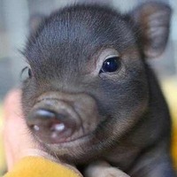 32837511142a7d00329960afdfcdfebc04631c2d