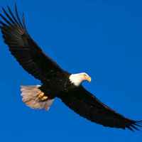 2707f60e5fbdcf82c21bf8a5839745c1ca52c348