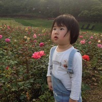 24cd3cd95b49366a3ecefe12689b50f2720f6d9e