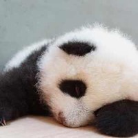 B9a0e638dea56c57b03ba046b8c5f34dd2951d53