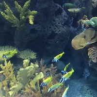 99e28218b8afc2d1a1415004e30d7214a57bd3f7