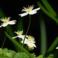 4a9b8ef84ab4d985e9323fe3ae364029b883ac8d