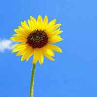 8b24016a0176269ddf66d1a58061d99762e831aa