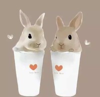 153baa3356f1c270bd143c4279401b5a0144e751