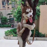 581ac9762699ec212538dce4773fd50f23b73609