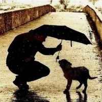 Fc8e4d6419eb84009ab4669a46aa346424750db1