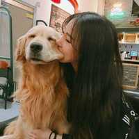 Accd7251bd732ccb38960887ea90e3a025ff64da