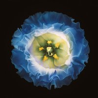 63b15887fcb7891d0d83eae446fe203431dd02fd