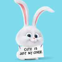 03cf417c0287342fd65b2fb029bfd15f8b7b1bdb