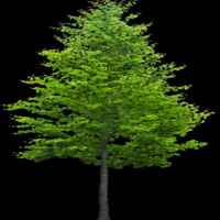 8e3491d18d09bfb4d9289b62982a95ebd2e6c274