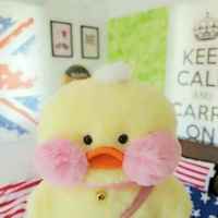 F7580068fc74640e5dc3b0408cfb06b447326a8d