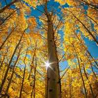 704b8b807f80bbe9ae6cd040a4904ace6e384368