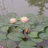 64d837bcd7adcdde25d2540f8b2d4092d6e952fc