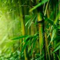 C0b0322a256586fa924f1aafd3b116d4b2845f9f