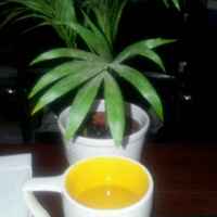 0d10deadba5c6f6ad3b9c50d4cccac8a4e4e1b90