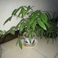 E506150f1908c9a22e1371992f8214d79f9a92a4