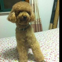 2b7c0e60b8b7bb84ace2640f1113388ea13d5252