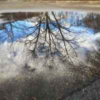 7c2ca173d3b4cf08888910eedecf75f7a941ff88