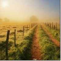 07115f8832cc27d10de141e736af554da06bc16c