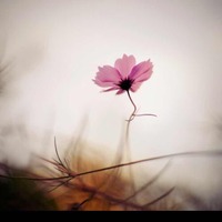 417407327123e0c22afff9246b195f61e0ad1b1d