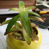 D28d82fe5f8593f7d3c5f241c1d78e5050bccf2f