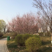 20d8fd222d7d1f9abe06300a42488fb0f2cd9d0a