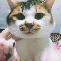 5fe1ca161ed0cc50a70e2e46bb5190ab2ea40d04