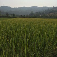 Bb98168f3cd0f1ca640202fd286d0a5ce278d449