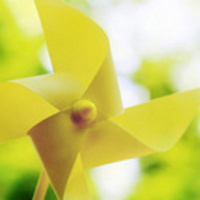 1ed288d8b560c5595a7172c147bf5af8bbae192f