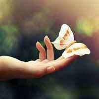 46993ffa43b5387a8d466ee5457a01f46e55d986