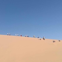 6ffcdc3f5a293288d60983380df8bf35e04db443