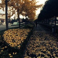 Faec9d37b21b5ce7a9206ddd0b94529d50e0863b