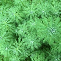 5614d50d0289355fbe07badc2f6ccfb20dc9a4c2